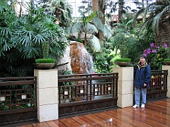 056 Jardin intérieur Mirage